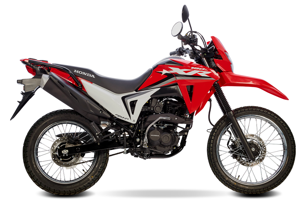 SORTEO ROOSTER POWER